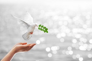 Der Weg zum Frieden