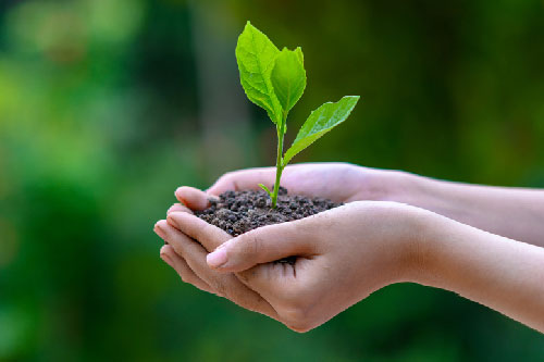 Opposer climat et liberté est une impasse