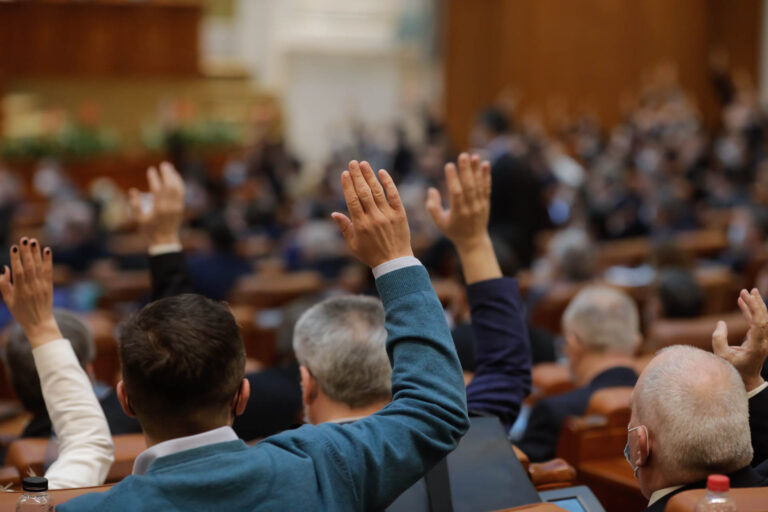 Mehr Demokratie wagen?