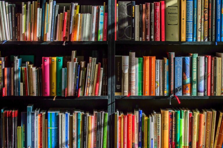 Recension «La philosophie de Hayek», de Philippe Nemo