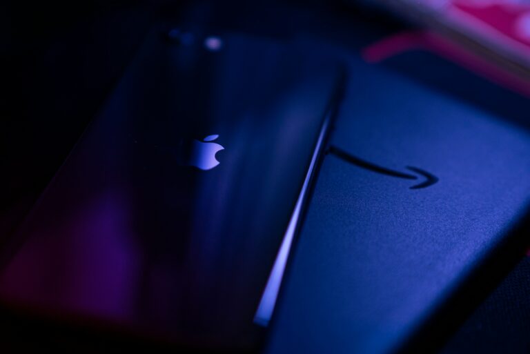 La tecnodestra tra Stato e Big Tech